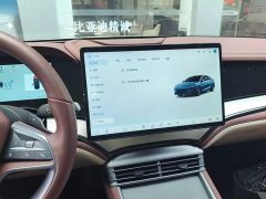 BYD Dolphin 07 DM-i 2026 DM-i 1.5T 230km Flagship - ფოტო 13
