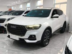 Haval H6 2023 National Trend Edition 1.5T Automatic Urban Version - ფოტო 1