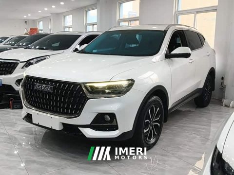 2024 Haval H6 2023 National Trend Edition 1.5T Automatic Urban Version - ავტომობილი ჩინეთიდან