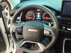 Haval H6 2023 National Trend Edition 1.5T Automatic Urban Version - ფოტო 11