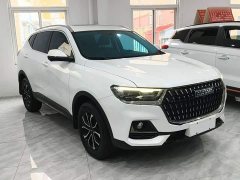 Haval H6 2023 National Trend Edition 1.5T Automatic Urban Version - ფოტო 4