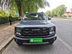 Great Wall Dachshund 2026 1.5T DCT Border Collie Edition - ფოტო 3