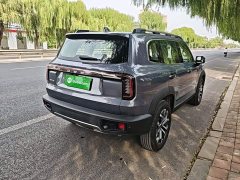 Great Wall Dachshund 2026 1.5T DCT Border Collie Edition - ფოტო 7