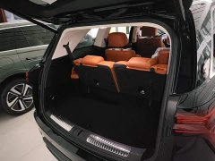 Great Wall WEY Blue Mountain 2025 Four-Wheel Drive Max - ფოტო 19