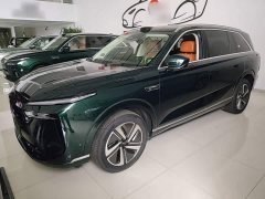 Great Wall WEY Blue Mountain 2025 Four-Wheel Drive Max - ფოტო 2