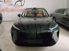 Great Wall WEY Blue Mountain 2025 Four-Wheel Drive Max - ფოტო 3