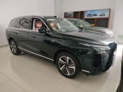 Great Wall WEY Blue Mountain 2025 Four-Wheel Drive Max - ფოტო 4