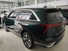 Great Wall WEY Blue Mountain 2025 Four-Wheel Drive Max - ფოტო 5