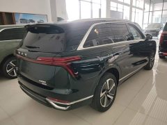 Great Wall WEY Blue Mountain 2025 Four-Wheel Drive Max - ფოტო 7
