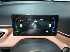 BYD Seagull 2025 305km Vitality Edition - ფოტო 12