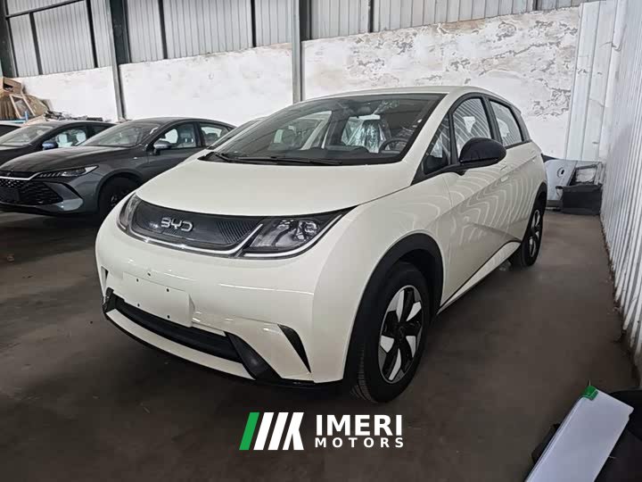 BYD Dolphin 2025 420km Freedom Edition - ავტომობილი ჩინეთიდან