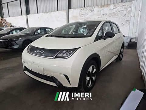 2026 BYD Dolphin 2025 420km Freedom Edition - ავტომობილი ჩინეთიდან