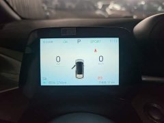 BYD Dolphin 2025 420km Freedom Edition - ფოტო 12