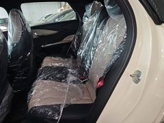 BYD Dolphin 2025 420km Freedom Edition - ფოტო 17
