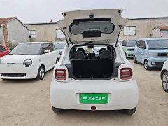 ORA Black Cat 301km Cute Pet Edition - ფოტო 19