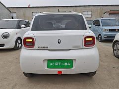ORA Black Cat 301km Cute Pet Edition - ფოტო 6