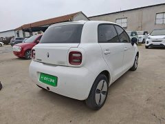 ORA Black Cat 301km Cute Pet Edition - ფოტო 7