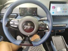 BYD Seagull 2024 Glory Edition 305km Freedom Version - ფოტო 11