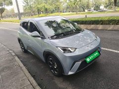 BYD Seagull 2024 Glory Edition 305km Freedom Version - ფოტო 4