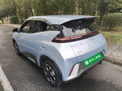 BYD Seagull 2024 Glory Edition 305km Freedom Version - ფოტო 5