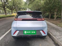 BYD Seagull 2024 Glory Edition 305km Freedom Version - ფოტო 6
