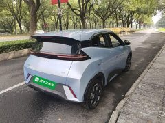 BYD Seagull 2024 Glory Edition 305km Freedom Version - ფოტო 7
