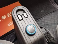 Wuling Hongguang MINIEV 2020 Zizai Edition LFP Battery - ფოტო 14