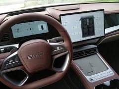 BYD Dolphin 07 DM-i 2026 DM-i 1.5T 230km Flagship - ფოტო 14