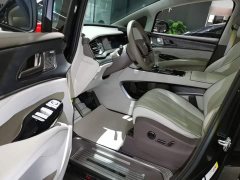 Denza BYD Denza D9 2022 DM-i 1040 Premium - ფოტო 15