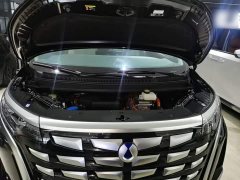 Denza BYD Denza D9 2022 DM-i 1040 Premium - ფოტო 20