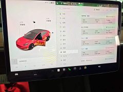 Tesla Model 3 Standard Range RWD Upgrade 3D6 - ფოტო 12