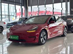Tesla Model 3 Standard Range RWD Upgrade 3D6 - ფოტო 2