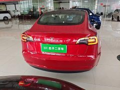 Tesla Model 3 Standard Range RWD Upgrade 3D6 - ფოტო 6