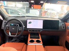 Li Auto Ideal L8 Air - ფოტო 10