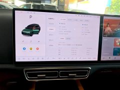 Li Auto Ideal L8 Air - ფოტო 13