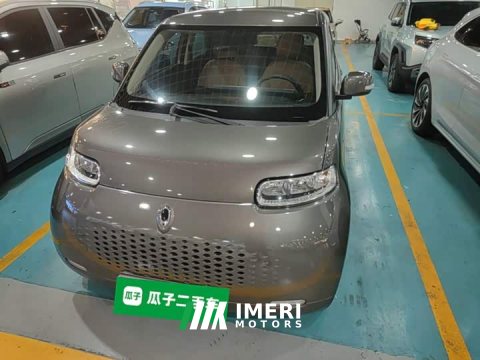 2021 ORA White Cat 2020 305km Luxury - ავტომობილი ჩინეთიდან