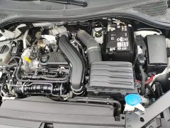 Volkswagen Tiguan L Outstanding Edition 300TSI Automatic FWD Dragon Ascendant Version - ფოტო 20