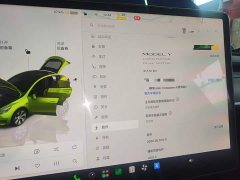 Tesla Model Y Long Range All-Wheel Drive - ფოტო 12