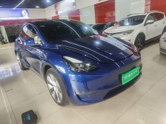 Tesla Model Y Long Range All-Wheel Drive - ფოტო 4