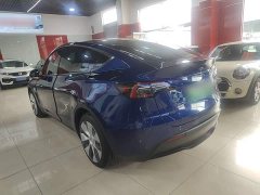 Tesla Model Y Long Range All-Wheel Drive - ფოტო 5