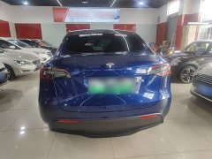 Tesla Model Y Long Range All-Wheel Drive - ფოტო 6