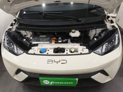 BYD Seagull 2025 305km Freedom Edition - ფოტო 20