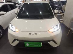BYD Seagull 2025 305km Freedom Edition - ფოტო 3