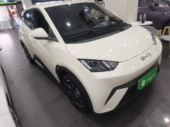 BYD Seagull 2025 305km Freedom Edition - ფოტო 4