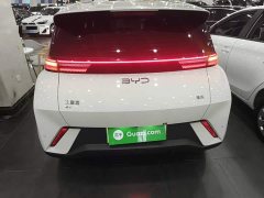 BYD Seagull 2025 305km Freedom Edition - ფოტო 6