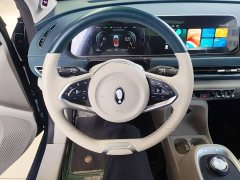ORA Good Cat 400km Standard Range Athena Edition Ternary Lithium - ფოტო 11