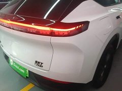 Dongfeng SKY EV01 530km PRO - ფოტო 8