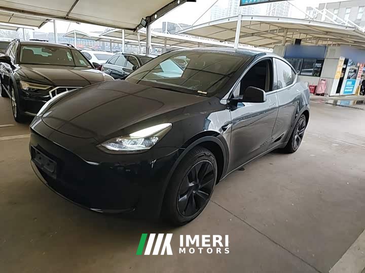 Tesla Model Y Rear-Wheel Drive