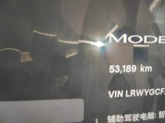 Tesla Model Y Rear-Wheel Drive - ფოტო 12