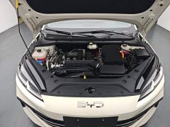BYD Dolphin 06 DM-i Smart Drive 120KM Deluxe - ფოტო 20